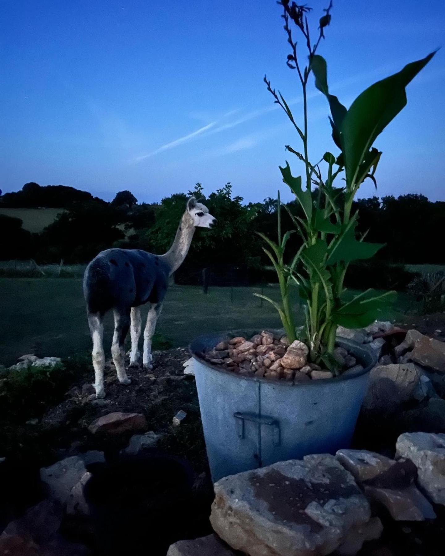 Gite La Borie Fons  Extérieur photo
